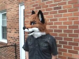 Rating: Safe Score: 0 Tags: 2008 4:3 anthro biped canid canine clothed clothing costume e621 fox fursuit grandfathered_content human joecifurr low_res male mammal open_mouth photography_(artwork) real screencap solo standing tav_fox User: bunchy7s Rating: Safe Score: 0 Tags: 2008 4:3 anthro biped canid canine clothed clothing costume e621 fox fursuit grandfathered_content human joecifurr low_res male mammal open_mouth photography_(artwork) real screencap solo standing tav_fox User: bunchy7s