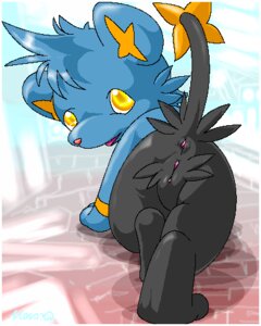 Rating: Explicit Score: 0 Tags: 4:5 anus butt digital_media_(artwork) e621 felid female feral generation_4_pokemon genitals looking_back low_res mammal mooning moroq nintendo oekaki pokemon pokemon_(species) pose presenting presenting_hindquarters shinx solo tail vulva young young_female young_feral User: bunchy7s