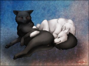 Rating: Explicit Score: 0 Tags: 4:3 abstract_background ambiguous_gender anatomically_correct anatomically_correct_genitalia anatomically_correct_vulva animal_genitalia animal_vulva black_body black_fur butt canid canine canine_genitalia canine_vulva canis duo e621 female feral feral_on_feral fur genitals lying mammal nude on_side paper-wings raised_tail simple_background tail text vulva white_body white_fur wolf User: bunchy7s Rating: Explicit Score: 0 Tags: 4:3 abstract_background ambiguous_gender anatomically_correct anatomically_correct_genitalia anatomically_correct_vulva animal_genitalia animal_vulva black_body black_fur butt canid canine canine_genitalia canine_vulva canis duo e621 female feral feral_on_feral fur genitals lying mammal nude on_side paper-wings raised_tail simple_background tail text vulva white_body white_fur wolf User: bunchy7s