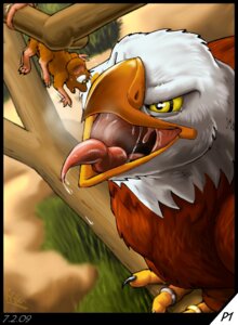 Rating: Questionable Score: 0 Tags: 2009 accipitrid accipitriform ambiguous_gender ambiguous_pred ambiguous_prey avian bald_eagle beak bird black_border bodily_fluids border brown_body brown_feathers claws dated digit_ring digital_media_(artwork) drooling duo dutch_angle e621 eagle feathered_wings feathers feet feral feral_pred feral_prey gaping_mouth hi_res high-angle_view imminent_vore jewelry male_(lore) mammal mouse mouth_shot multicolored_body multicolored_feathers murid murine narrowed_eyes naughty_face open_beak open_mouth open_smile predator/prey ring riproarrex rodent saliva scared sea_eagle signature size_difference skyra_(rrrex) smile tail talons throat toe_ring toes tongue tongue_out two_tone_body two_tone_feathers uvula white_body white_feathers wings yellow_beak yellow_sclera User: bunchy7s