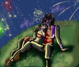 Rating: Safe Score: 0 Tags: 2014 anthro black_body black_fur black_hair canid canine canis clothed clothing duo e621 female fireworks fox fur hair male male/female mammal night outside romantic romantic_ambiance romantic_couple skimpy smile the_sake_ninja unknown_artist wolf User: bunchy7s
