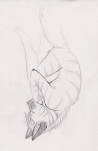 Rating: Explicit Score: 0 Tags: aardwolf adrien_(shinetroll) animal_genitalia anthro arm_tuft armpit_hair armpit_tuft balls barely_visible_balls barely_visible_genitalia barely_visible_sheath biped body_hair butt_tuft chest_tuft e621 elbow_tuft eyes_closed genitals grammarshinehyena hi_res hyena lying male mammal mane monochrome nude plantigrade sheath simple_background sketch sleeping solo stripes tail traditional_media_(artwork) tuft white_background User: bunchy7s