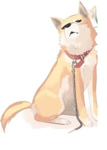 Rating: Safe Score: 0 Tags: ambiguous_gender canid canine canis collar domestic_dog e621 feral leash mammal shiba_inu simple_background solo spitz tail unknown_artist white_background User: bunchy7s Rating: Safe Score: 0 Tags: ambiguous_gender canid canine canis collar domestic_dog e621 feral leash mammal shiba_inu simple_background solo spitz tail unknown_artist white_background User: bunchy7s