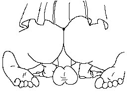 Rating: Explicit Score: 0 Tags: 2d_animation 4:3 all_fours animated animated_gif black_and_white bottomwear butt clothed clothing dildo dildo_sitting e621 feet female genitals human low_res mammal masturbation monochrome not_furry penetration sex_toy short_playtime skirt soles solo toes toying_self unknown_artist vaginal vaginal_masturbation vaginal_penetration vulva User: bunchy7s Rating: Explicit Score: 0 Tags: 2d_animation 4:3 all_fours animated animated_gif black_and_white bottomwear butt clothed clothing dildo dildo_sitting e621 feet female genitals human low_res mammal masturbation monochrome not_furry penetration sex_toy short_playtime skirt soles solo toes toying_self unknown_artist vaginal vaginal_masturbation vaginal_penetration vulva User: bunchy7s