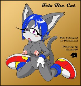Rating: Explicit Score: 0 Tags: anthro breasts domestic_cat e621 fan_character felid feline felis female gadzio01 genitals hair mammal nipples sega short_hair solo sonic_the_hedgehog_(series) tail trix_the_cat_(character) vulva User: bunchy7s