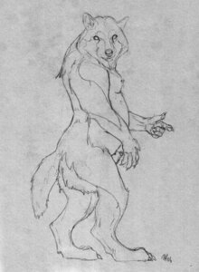 Rating: Explicit Score: 0 Tags: 5_fingers alaskan_malamute animal_genitalia anthro barefoot biped canid canine canis claws digitigrade domestic_dog e621 feet fingers fully_sheathed fur furgonomic_piercing furgonomics genital_piercing genitals looking_aside looking_at_viewer male mammal monochrome mulefoot nordic_sled_dog piercing sheath sheath_piercing side_view sketch solo spitz tail User: bunchy7s Rating: Explicit Score: 0 Tags: 5_fingers alaskan_malamute animal_genitalia anthro barefoot biped canid canine canis claws digitigrade domestic_dog e621 feet fingers fully_sheathed fur furgonomic_piercing furgonomics genital_piercing genitals looking_aside looking_at_viewer male mammal monochrome mulefoot nordic_sled_dog piercing sheath sheath_piercing side_view sketch solo spitz tail User: bunchy7s
