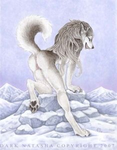Rating: Explicit Score: 0 Tags: 2007 all_fours anthro anus arctic biped breasts butt canid canine canis claws dark_natasha day detailed_background digitigrade domestic_dog e621 fangs feet female fur genitals grey_body grey_fur grey_hair hair hindpaw husky ice licking licking_lips licking_own_lips long_hair looking_back mammal mullet nordic_sled_dog nude open_mouth outside paws presenting presenting_hindquarters raised_tail rear_view self_lick side_boob signature sky snow solo spitz tail tail_anus teeth tongue tongue_out vulva white_body white_fur User: bunchy7s