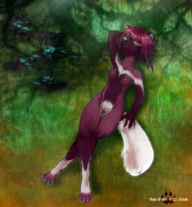Rating: Explicit Score: 0 Tags: anthro bird's-eye_view breasts canid canine e621 female genitals grass heterochromia high-angle_view m_cook mammal nipples nude plant reclining solo tail vulva User: bunchy7s