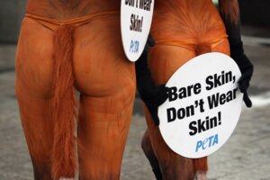 Rating: Questionable Score: 0 Tags: anti-fur bodypaint butt butt_shot canid canine clothed clothing duo e621 female fox grandfathered_content mammal panties peta politics protest real skimpy tail thong underwear unknown_artist User: bunchy7s