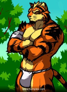 Rating: Questionable Score: 0 Tags: anthro asian_clothing bandage barazoku beard biped bulge clothed clothing crossed_arms e621 east_asian_clothing eye_patch eyes_closed eyewear facial_hair felid fundoshi fur humbuged japanese_clothing male mammal muscular muscular_anthro muscular_male nipples orange_body orange_fur outside pantherine pecs pink_nipples portrait solo standing stripes tail three-quarter_portrait tiger topless toraz underwear white_clothing white_fundoshi white_underwear User: bunchy7s