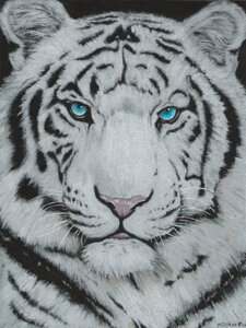 Rating: Safe Score: 0 Tags: ambiguous_gender black_background blue_eyes bust_portrait e621 felid feral fur leucistic looking_at_viewer mammal pantherine pink_nose portrait realistic_anatomy signature simple_background solo striped_body striped_fur stripes tiger truegrave9 whiskers white_body white_fur User: bunchy7s Rating: Safe Score: 0 Tags: ambiguous_gender black_background blue_eyes bust_portrait e621 felid feral fur leucistic looking_at_viewer mammal pantherine pink_nose portrait realistic_anatomy signature simple_background solo striped_body striped_fur stripes tiger truegrave9 whiskers white_body white_fur User: bunchy7s