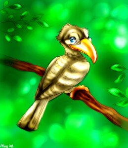 Rating: Safe Score: 0 Tags: 2008 ambiguous_gender avian avian_feet beak bird blue_eyes bucerotiform e621 eyewear feathers feet feral glasses hornbill leaf looking_at_viewer maquenda nude orange_beak outside plant solo tail tail_feathers tan_body toes tree User: bunchy7s
