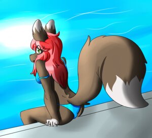 Rating: Questionable Score: 0 Tags: amaterasu_(artist) anthro bikini biped breasts canid canine clothed clothing e621 eevee female fluffy fluffy_tail generation_1_pokemon green_eyes looking_at_viewer mammal nintendo pokemon pokemon_(species) pokemorph side_boob sitting skimpy solo swimwear tail two-piece_swimsuit water User: bunchy7s