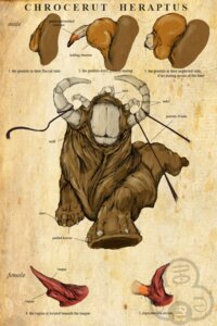 Rating: Explicit Score: 0 Tags: 2:3 anatomy biological_illustration digital_media_(artwork) duo e621 english_text female genitals hi_res horn lore male nightmare_fuel oddbird penis solo_focus technical_illustration text tongue unknown_species vulva User: bunchy7s