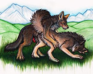 Rating: Explicit Score: 0 Tags: all_fours canid canine canis coyote digitigrade doggystyle duo e621 erection female feral from_behind_position genitals male male/female mammal nude outside penis phantasmic quadruped sex tail wolf User: bunchy7s Rating: Explicit Score: 0 Tags: all_fours canid canine canis coyote digitigrade doggystyle duo e621 erection female feral from_behind_position genitals male male/female mammal nude outside penis phantasmic quadruped sex tail wolf User: bunchy7s