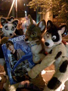 Rating: Safe Score: 0 Tags: 2010 3:4 ambiguous_gender anthro canid canine chazzkit chazzkit_(pic_owner) clothing costume e621 fox fursuit grandfathered_content group hi_res human justin_bieber justin_bieber_(character) male mammal night photography_(artwork) poster real User: bunchy7s