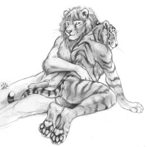 Rating: Explicit Score: 0 Tags: 1:1 2011 all_fours anthro blotch duo e621 erection feet felid genitals greyscale hi_res hindpaw hug lion looking_at_viewer looking_back male male/male mammal mane monochrome nude pantherine pawpads paws penis reclining scratches_volume_5 simple_background stripes tail tiger traditional_media_(artwork) whiskers white_background User: bunchy7s