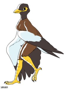 Rating: Safe Score: 0 Tags: anthro avian beak biped bird breasts claws common_myna e621 feathered_wings feathers female myna_(bird) non-mammal_breasts nude oscine passerine realistic_wings simple_background solo standing starling_(bird) surrender toe_claws white_background wings User: bunchy7s Rating: Safe Score: 0 Tags: anthro avian beak biped bird breasts claws common_myna e621 feathered_wings feathers female myna_(bird) non-mammal_breasts nude oscine passerine realistic_wings simple_background solo standing starling_(bird) surrender toe_claws white_background wings User: bunchy7s