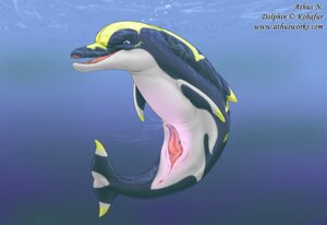 Rating: Explicit Score: 0 Tags: animal_genitalia animal_penis anus aquatic athus cetacean cetacean_genitalia cetacean_penis dolphin e621 erection feral genitals male mammal nude oceanic_dolphin penis solo tapering_penis toothed_whale User: bunchy7s Rating: Explicit Score: 0 Tags: animal_genitalia animal_penis anus aquatic athus cetacean cetacean_genitalia cetacean_penis dolphin e621 erection feral genitals male mammal nude oceanic_dolphin penis solo tapering_penis toothed_whale User: bunchy7s