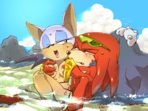 Rating: Explicit Score: 0 Tags: anthro bat bikini blush bone_(artist) breast_grab breasts day echidna female fur furry interspecies knuckles_the_echidna male mammal monotreme nude outdoors rouge_the_bat rule34 sonic_(series) straight swimsuit wink User: bunchy7s