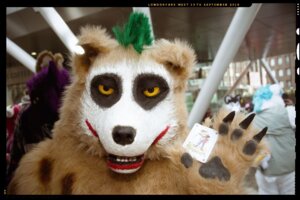Rating: Safe Score: 0 Tags: ambiguous_gender anthro batman_(series) card clothing clown costume dc_comics e621 fool fortune_telling fursuit gallenw grandfathered_content green_hair group hair holding_card holding_object holding_single_card hyena looking_at_viewer major_arcana makeup mammal mohawk nightmare_fuel real short_hair solo_focus spotted_hyena tarot tarot_card the_fool_(tarot) the_joker yellow_eyes User: bunchy7s