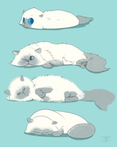 Rating: Safe Score: 0 Tags: ambiguous_gender colorpoint digitigrade dilution domestic_cat e621 eyes_closed felid feline felis feral fluffy looking_at_viewer mammal one_eye_closed quadruped rumbrave sleeping solo tail User: bunchy7s