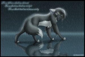Rating: Safe Score: 0 Tags: 2004 black_border border canid canine canis dipstick_tail e621 english_text female feral immortality mammal markings outside quadruped raining reflection shayde_(artist) simple_background solo tail tail_markings text toony wet wolf User: bunchy7s Rating: Safe Score: 0 Tags: 2004 black_border border canid canine canis dipstick_tail e621 english_text female feral immortality mammal markings outside quadruped raining reflection shayde_(artist) simple_background solo tail tail_markings text toony wet wolf User: bunchy7s