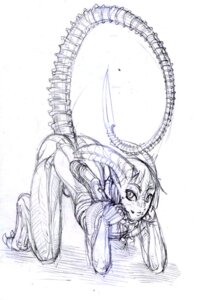 Rating: Explicit Score: 0 Tags: 2011 alien alien_(franchise) all_fours armor blade claws demitri012 e621 erection exoskeleton genitals greyscale horn lagomorph looking_at_viewer male mammal monochrome nude penis simple_background solo tail tail_blade weapon_tail white_background xenomorph young User: bunchy7s Rating: Explicit Score: 0 Tags: 2011 alien alien_(franchise) all_fours armor blade claws demitri012 e621 erection exoskeleton genitals greyscale horn lagomorph looking_at_viewer male mammal monochrome nude penis simple_background solo tail tail_blade weapon_tail white_background xenomorph young User: bunchy7s