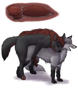 Rating: Explicit Score: 0 Tags: all_fours anal anal_knotting anal_penetration animal_genitalia animal_penis balls_deep bodily_fluids canid canine canine_genitalia canine_penis canis cum cum_in_ass cum_inside doggystyle duo e621 erection feral feral_on_feral fox from_behind_position genital_fluids genitals internal knot knotting male male/male male_penetrated male_penetrating male_penetrating_male mammal nude penetration penis sex simple_background tail tongue tongue_out torso_grab white_background wolf zoophilic User: bunchy7s Rating: Explicit Score: 0 Tags: all_fours anal anal_knotting anal_penetration animal_genitalia animal_penis balls_deep bodily_fluids canid canine canine_genitalia canine_penis canis cum cum_in_ass cum_inside doggystyle duo e621 erection feral feral_on_feral fox from_behind_position genital_fluids genitals internal knot knotting male male/male male_penetrated male_penetrating male_penetrating_male mammal nude penetration penis sex simple_background tail tongue tongue_out torso_grab white_background wolf zoophilic User: bunchy7s