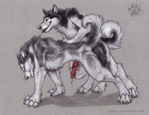 Rating: Explicit Score: 0 Tags: 2007 alaskan_malamute all_fours anal anal_penetration animal_genitalia animal_penis anthro anthro_on_anthro anthro_penetrated anthro_penetrating anthro_penetrating_anthro biped blotch bodily_fluids canid canine canine_genitalia canine_penis canis claws cum doggystyle domestic_dog dripping duo e621 erection eyes_closed finger_claws from_behind_position genital_fluids genitals handjob handjob_while_penetrating husky intraspecies knot male male/male male_penetrated male_penetrating male_penetrating_male mammal nordic_sled_dog nude penetration penile penis pointy_ears prick_ears quadruped reach_around scratches_volume_1 sex simple_background spitz tail textured_background toe_claws tongue tongue_out traditional_media_(artwork) User: bunchy7s Rating: Explicit Score: 0 Tags: 2007 alaskan_malamute all_fours anal anal_penetration animal_genitalia animal_penis anthro anthro_on_anthro anthro_penetrated anthro_penetrating anthro_penetrating_anthro biped blotch bodily_fluids canid canine canine_genitalia canine_penis canis claws cum doggystyle domestic_dog dripping duo e621 erection eyes_closed finger_claws from_behind_position genital_fluids genitals handjob handjob_while_penetrating husky intraspecies knot male male/male male_penetrated male_penetrating male_penetrating_male mammal nordic_sled_dog nude penetration penile penis pointy_ears prick_ears quadruped reach_around scratches_volume_1 sex simple_background spitz tail textured_background toe_claws tongue tongue_out traditional_media_(artwork) User: bunchy7s