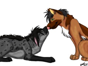 Rating: Safe Score: 0 Tags: 2011 4:3 ambiguous_gender black_hair canid canine canis domestic_dog duo e621 eyes_closed feral german_shepherd green_eyes hair hashire herding_dog hyena licking mammal pastoral_dog simple_background tongue tongue_out white_background year User: bunchy7s Rating: Safe Score: 0 Tags: 2011 4:3 ambiguous_gender black_hair canid canine canis domestic_dog duo e621 eyes_closed feral german_shepherd green_eyes hair hashire herding_dog hyena licking mammal pastoral_dog simple_background tongue tongue_out white_background year User: bunchy7s