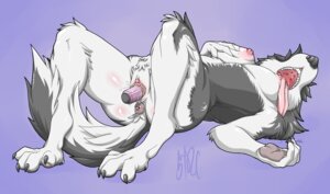 Rating: Explicit Score: 0 Tags: 2012 4_toes anthro anus areola biped black_nose bodily_fluids breasts butt canid canine canis claws digitigrade dildo domestic_dog e621 ejaculation fangs feet female fur genital_fluids genitals hindpaw husky lying mammal masturbation nipples nordic_sled_dog nude on_back open_mouth orgasm paws penetration puffy_anus saliva sex_toy sex_toy_in_vagina sex_toy_insertion simple_background solo spitz stoic5 tail teeth toes tongue tongue_out toying_self vaginal vaginal_fluids vaginal_masturbation vaginal_penetration vaginal_squirting vaginal_squirting_while_penetrated vulva User: bunchy7s