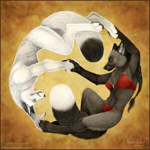 Rating: Questionable Score: 0 Tags: 1:1 2008 abstract_background anthro bikini canid canine chest_tuft circle clothed clothing duo e621 female fur liang male mammal northwolf nude simple_background skimpy swimwear tail textured_background tight_clothing tuft two-piece_swimsuit yi yin_yang_symbolism User: bunchy7s
