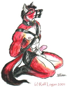 Rating: Explicit Score: 0 Tags: 2001 animal_genitalia anthro balls bdsm biped bondage bound canid canine collar e621 erection fox genitals green_eyes harness kneeling leather male mammal muscular muscular_anthro muscular_male muzzle_(object) muzzled nude penis raff raff_m_logan sheath solo submissive submissive_male tail User: bunchy7s