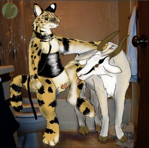 Rating: Explicit Score: 0 Tags: ambiguous_gender animal_genitalia animal_penis anthro anthro_on_feral bestiality bodily_fluids bovid caprine collar drooling duo e621 erection felid feline feline_genitalia feline_penis feral genitals goat horn interspecies leash male mammal penis saliva serval tail toffee_(artist) tongue tongue_out User: bunchy7s Rating: Explicit Score: 0 Tags: ambiguous_gender animal_genitalia animal_penis anthro anthro_on_feral bestiality bodily_fluids bovid caprine collar drooling duo e621 erection felid feline feline_genitalia feline_penis feral genitals goat horn interspecies leash male mammal penis saliva serval tail toffee_(artist) tongue tongue_out User: bunchy7s