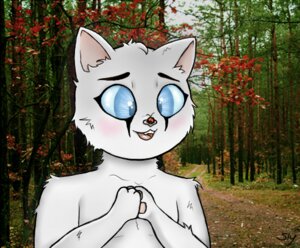 Rating: Safe Score: 0 Tags: anthro arthropod beetle big_eyes cucujoid detailed_background domestic_cat e621 felid feline felis forest insect ladybug low_res male mammal nature outside plant slylemur solo tree wood young young_anthro User: bunchy7s Rating: Safe Score: 0 Tags: anthro arthropod beetle big_eyes cucujoid detailed_background domestic_cat e621 felid feline felis forest insect ladybug low_res male mammal nature outside plant slylemur solo tree wood young young_anthro User: bunchy7s