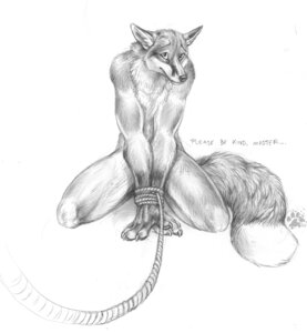 Rating: Questionable Score: 0 Tags: 2009 anthro bdsm be_gentle blotch bondage bound canid canine claws dipstick_tail e621 english_text fox fur hands_tied hi_res looking_at_viewer male mammal markings master monochrome nude ownership red_fox rope scratches_volume_3 simple_background sketch slave solo submissive submissive_male tail tail_markings text traditional_media_(artwork) true_fox whiskers white_background User: bunchy7s