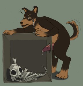 Rating: Explicit Score: 0 Tags: 4_toes 5_fingers anterior_nasal_aperture anthro bodily_fluids bone box canid canine canis container creepy death domestic_cat domestic_dog dontfapgirl e621 erection feet felid feline felis fingers genital_fluids genitals glory_hole in_box in_container male mammal meme nude pavlovs_dog penis precum question_mark rib_cage schrödinger's_cat sex_box skeleton skull snuff solo tail toes User: bunchy7s
