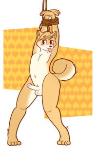 Rating: Explicit Score: 0 Tags: anthro balls blush bound canid canine canis domestic_dog e621 erection foreskin genitals humanoid_genitalia humanoid_penis male mammal nude okono_yuujo penis pkaocko retracted_foreskin shiba_inu solo spitz submissive submissive_male tail wide_hips User: bunchy7s