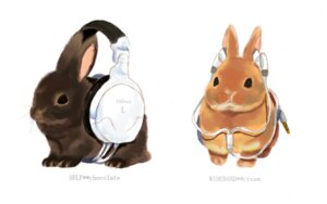 Rating: Safe Score: 0 Tags: 16:10 act ambiguous_gender black_eyes brown_body brown_fur duo e621 earbuds electronics feral fur headphones humor lagomorph leporid mammal nude orange_body orange_fur pun rabbit simple_background whiskers white_background widescreen User: bunchy7s