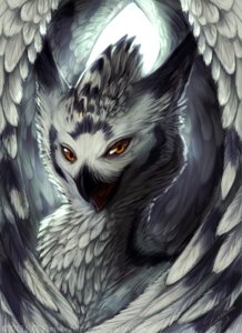Rating: Safe Score: 0 Tags: 2013 avian beak bird bust_portrait digital_media_(artwork) digital_painting_(artwork) e621 feathered_wings feathers feral gibbs_(onom) grey_body grey_feathers gryphon horned_owl looking_at_viewer male mythological_avian mythological_creature mythology open_mouth orange_eyes owl painting_(artwork) portrait pose quirachen shaded snowy_owl soft_shading solo three-quarter_view true_owl wings User: bunchy7s