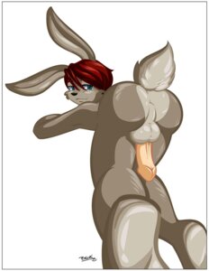 Rating: Explicit Score: 0 Tags: all_fours anus backsack balls border butt e621 erection genitals hi_res lagomorph leporid looking_at_viewer male mammal nude omgtkb penis presenting rabbit solo white_border User: bunchy7s