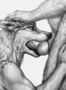 Rating: Explicit Score: 0 Tags: ambiguous_gender anakuro animal_genitalia animal_penis anthro big_penis black_lips black_nose bust_portrait canid canine canine_genitalia canine_penis canis close-up crotch_shot deep_throat digital_media_(artwork) domestic_dog duo e621 ears_back erection faceless_character faceless_male fellatio fluffy fur genital_close-up genitals greyscale hand_on_head husky inner_ear_fluff knot knotting licking line_art lips long_mouth looking_up male mammal monochrome no_sclera nordic_sled_dog nude oral oral_knotting oral_penetration penetration penile penis penis_close-up petting pivoted_ears portrait realistic redux sex sheath side_view simple_background snout spitz standing tongue tongue_out tuft unfinished whiskers white_background User: bunchy7s