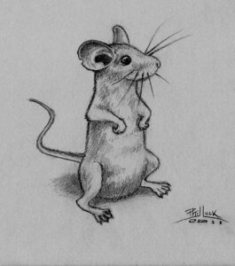 Rating: Safe Score: 0 Tags: 2011 ambiguous_gender e621 feral graphite_(artwork) greyscale hi_res mammal monochrome mouse murid murine phixel-15 rodent solo traditional_media_(artwork) User: bunchy7s