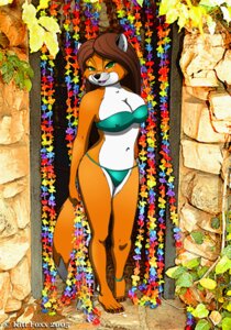 Rating: Questionable Score: 0 Tags: 2005 anthro bedroom_eyes bikini black_nose breasts brown_hair canid canine clothed clothing e621 female fox fur green_eyes hair kittfoxx looking_at_viewer mammal midriff narrowed_eyes navel nipple_outline open_mouth orange_body orange_fur seductive skimpy solo swimwear tail two-piece_swimsuit User: bunchy7s