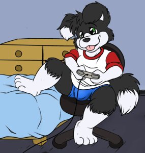 Rating: Questionable Score: 0 Tags: anthro bed border_collie bulge canid canine canis chair clothed clothing collie controller dipstick_tail domestic_dog dresser e621 furniture game_controller herding_dog male mammal markings pastoral_dog plantigrade roarey_raccoon roni_collins sheepdog slightly_chubby solo tail tail_markings underwear young young_anthro young_male User: bunchy7s Rating: Questionable Score: 0 Tags: anthro bed border_collie bulge canid canine canis chair clothed clothing collie controller dipstick_tail domestic_dog dresser e621 furniture game_controller herding_dog male mammal markings pastoral_dog plantigrade roarey_raccoon roni_collins sheepdog slightly_chubby solo tail tail_markings underwear young young_anthro young_male User: bunchy7s