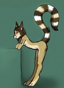 Rating: Questionable Score: 0 Tags: 2011 ajna anthro bassariscus bent_over biped blue_eyes blush blush_lines breasts brown_hair brown_markings brown_spots brown_stripes cacomistle countershade_face countershading digitigrade e621 eyebrows feet felid female female_anthro fingers full-length_portrait fur green_background hair inner_ear_fluff leaning long_tail looking_at_viewer mammal markings medium_hair multicolored_body multicolored_fur multicolored_tail narrowed_eyes nude nude_anthro nude_female open_mouth pink_blush pink_inner_ear pink_nose pinup portrait pose procyonid raised_tail ring_(marking) ringed_tail side_boob side_view simple_background slim slim_anthro slim_female small_breasts solo spots spotted_body spotted_fur straight_hair straight_legs striped_markings striped_tail stripes tail tail_markings tan_body tan_fur tan_markings tan_stripes tee_(ajna) toes tuft whiskers white_body white_countershading white_eyebrows white_inner_ear_fluff white_markings white_sclera white_stripes white_tuft User: bunchy7s Rating: Questionable Score: 0 Tags: 2011 ajna anthro bassariscus bent_over biped blue_eyes blush blush_lines breasts brown_hair brown_markings brown_spots brown_stripes cacomistle countershade_face countershading digitigrade e621 eyebrows feet felid female female_anthro fingers full-length_portrait fur green_background hair inner_ear_fluff leaning long_tail looking_at_viewer mammal markings medium_hair multicolored_body multicolored_fur multicolored_tail narrowed_eyes nude nude_anthro nude_female open_mouth pink_blush pink_inner_ear pink_nose pinup portrait pose procyonid raised_tail ring_(marking) ringed_tail side_boob side_view simple_background slim slim_anthro slim_female small_breasts solo spots spotted_body spotted_fur straight_hair straight_legs striped_markings striped_tail stripes tail tail_markings tan_body tan_fur tan_markings tan_stripes tee_(ajna) toes tuft whiskers white_body white_countershading white_eyebrows white_inner_ear_fluff white_markings white_sclera white_stripes white_tuft User: bunchy7s