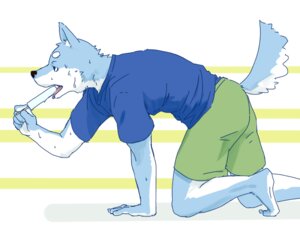 Rating: Safe Score: 0 Tags: 2012 5:4 5_fingers all_fours anthro barefoot biped black_nose blue_body blue_fur bodily_fluids bottomwear canid canine canis clothed clothing domestic_dog e621 feet fingers food fully_clothed fur holding_food holding_object humanoid_hands husky kemono male mammal nordic_sled_dog open_mouth plantigrade popsicle raised_tail shirt shorts side_view solo spitz sweat t-shirt tail tongue topwear white_body white_fur わっさん User: bunchy7s