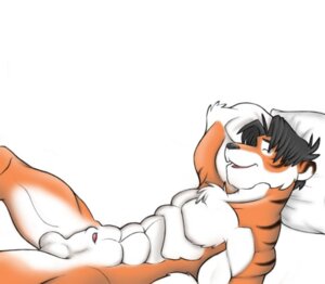 Rating: Explicit Score: 0 Tags: animal_genitalia anthro balls biped e621 eyes_closed felid fully_sheathed genitals lying male mammal muscular muscular_anthro muscular_male nude panchi_tiger pantherine penis penis_tip pillow sheath simple_background solo stripes tiger User: bunchy7s