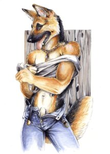 Rating: Explicit Score: 0 Tags: 2006 animal_genitalia anthro black_body black_fur bottomwear breath brown_body brown_fur canid canine canis clothed clothing collar denim denim_bottomwear denim_clothing domestic_dog e621 fence fully_sheathed fur genitals german_shepherd heather_bruton herding_dog jeans jewelry male mammal necklace open_mouth panting pants pastoral_dog sheath solo tail teeth tongue tongue_out undressing white_body white_fur wood User: bunchy7s Rating: Explicit Score: 0 Tags: 2006 animal_genitalia anthro black_body black_fur bottomwear breath brown_body brown_fur canid canine canis clothed clothing collar denim denim_bottomwear denim_clothing domestic_dog e621 fence fully_sheathed fur genitals german_shepherd heather_bruton herding_dog jeans jewelry male mammal necklace open_mouth panting pants pastoral_dog sheath solo tail teeth tongue tongue_out undressing white_body white_fur wood User: bunchy7s